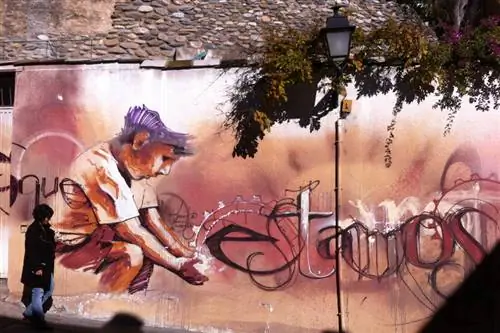 Особенности - Уличное искусство Гранады3/brendan sainsbury