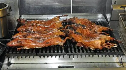 Два ряда морских свинок жарятся на большом гриле в ресторане.