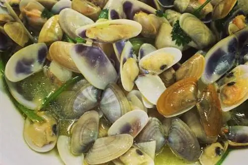 Ешьте как местный житель Алгарве