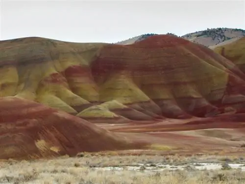 Пэйнтед-Хиллз, штат Орегон.