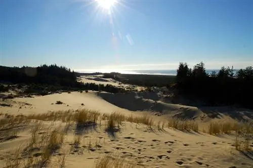 Национальная зона отдыха Орегон Дюны.