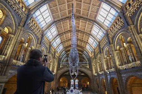 Посетитель Музея естественной истории фотографирует скелет синего кита в зале Хинтце.