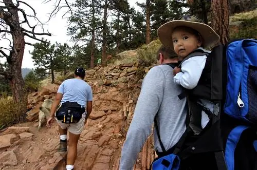Два человека и их собака стоят спиной к камере, когда они идут по тропе из красного песчаника, окруженной растительностью, а их очень маленький сын смотрит в камеру, когда он едет в рюкзаке на спине своего отца; Поход в Боулдер, Колорадо