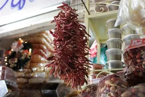 10 самых вкусных насекомых и жуков в Мексике