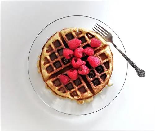 Тарелка с веганской вафлей, органической малиной и сиропом; веганские рестораны Сиэтла