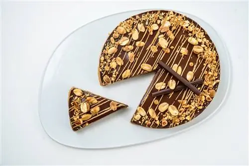 Веганский шоколадный торт с арахисом и сладким соусом; веганские рестораны Сиэтла