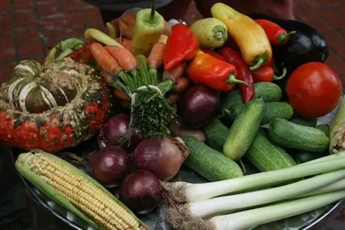 Секрет европейского гурмана: сербская кухня