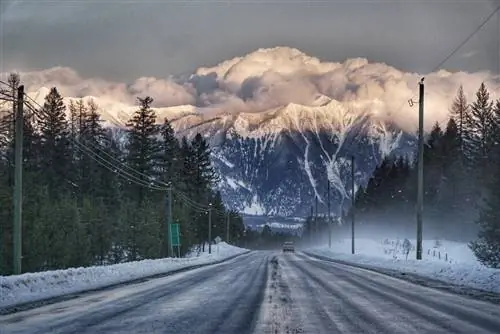 Автомобиль находится на среднем расстоянии, едет по заснеженной дороге, обсаженной высокими соснами. Заснеженные, покрытые лесом горы прямо впереди, а над ними, под серым небом, висят огромные облака.