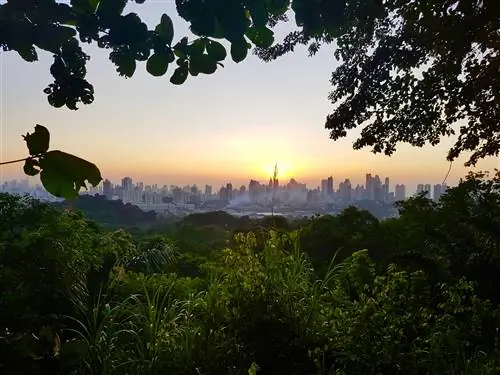 Вид на панораму Панама-Сити с высоты птичьего полета из Parque Natural Metropolitano; идеальные выходные Панама-Сити