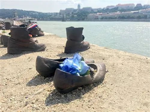 Пара металлических женских туфель, являющихся частью мемориала «Обувь на Дунае», стоит на берегу реки Дунай. В туфли вложен цветок. За рекой Буда видна крепость.