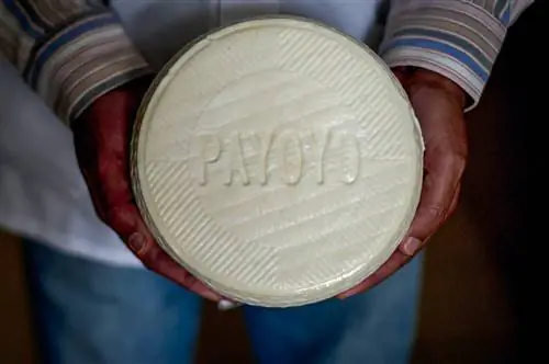 Человек держит колесо сыра с клеймом Payayo. Кадис, Испания.