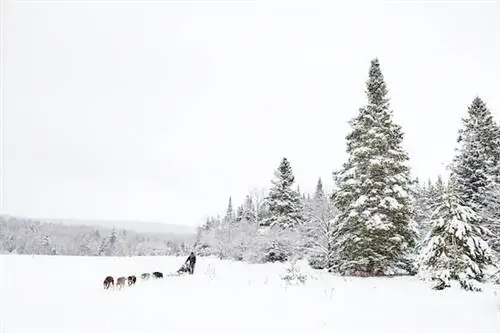 Fjällräven заплатит вам за приключенческое путешествие в Арктику
