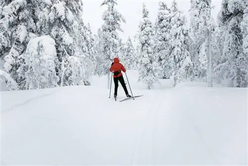 Лыжник катается на лыжах по одной из лесных трасс в регионе Саариселькя.