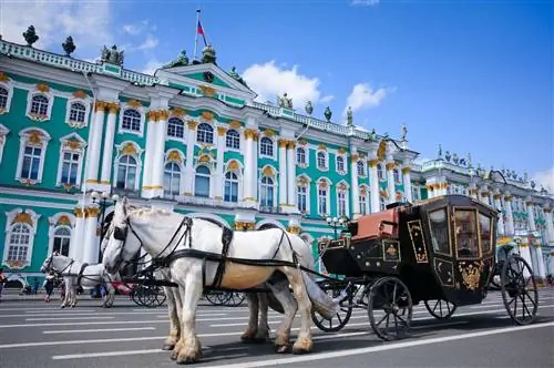 Коляска, запряженная лошадьми, возле Государственного Эрмитажа летом.