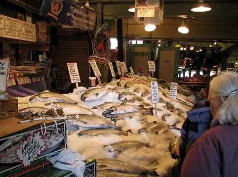 Salmon Run от мистера Томаса. Лицензия Creative Commons ShareAlike