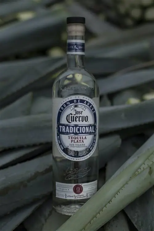 Хосе Куэрво бутылка текилы-j.webp