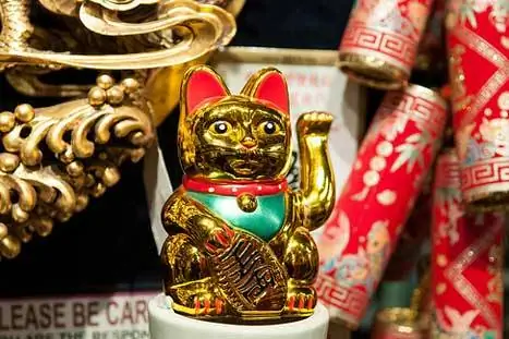 Особенности - кошка