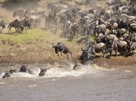 Пересечение реки Великого переселения народов компанией Thomson Safaris. Лицензия Creative Commons на авторство.