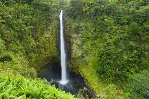 Особенности - akaka_falls_cs