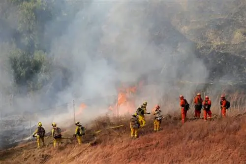 Пожарные Cal Fire борются с травяным пожаром возле объекта NuStar Energy в Крокетте, Калифорния, во вторник, 15 октября 2019 г.