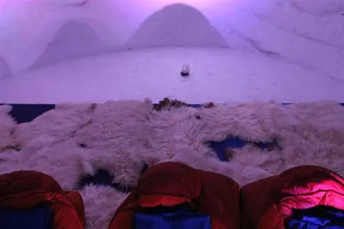 Особенности - igloo_bed