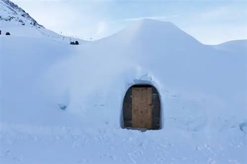 Возможности - igloo_day
