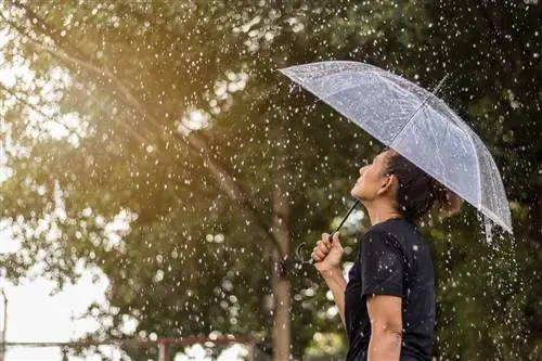 Человек стоит под черным зонтом и смотрит сквозь капли дождя на солнце; Нужна ли мне туристическая страховка?