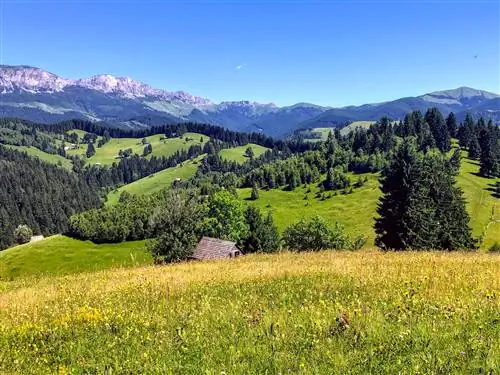 Луга, богатые дикими цветами, покрывают холмистую местность со скалистыми горами вдалеке.