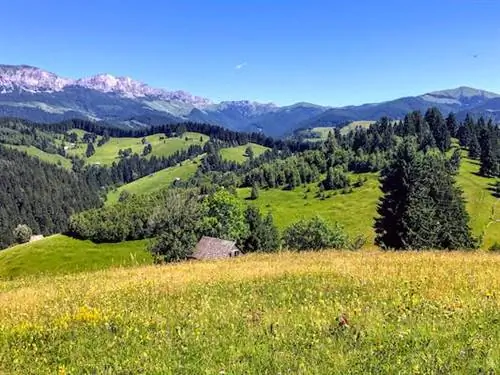 Внутри кампании по созданию «Йеллоустоуна Европы»