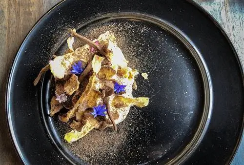 Крупный план современной боливийской кухни на черной тарелке, посыпанной коричневой пудрой и украшенной маленькими фиолетовыми и розовыми цветами. Ла-Пас, Боливия.