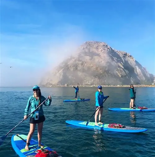 Скала Морро выделяется в заливе Морро, покрытом туманом, когда группа гребцов в синих куртках исследует воду вокруг нее.