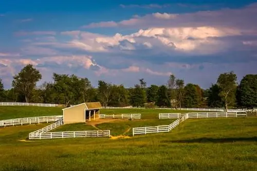 Чем заняться в округе Ховард, штат Мэриленд