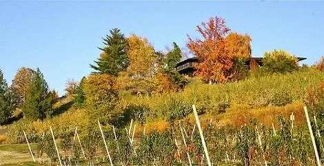 Район - осень в винной стране 14, Пэт Стросал. CC BY-SA 2.0