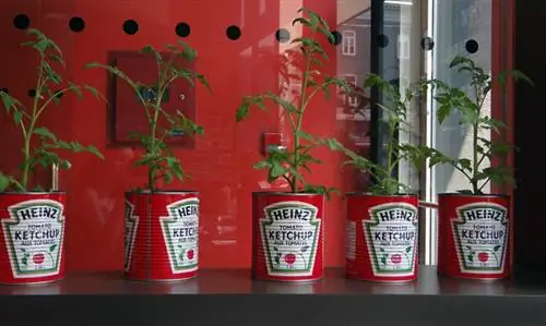 Le Cercle в Квебеке.