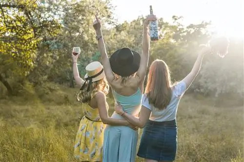 Трое женщин, повернувшись спиной к камере, стоят посреди поля лицом к солнцу. Одна женщина поднимает бокал с вином, другая поднимает бутылку с вином, третья держит букет цветов; девичник