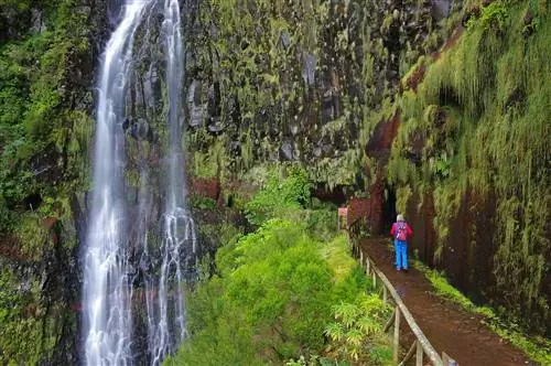 Женщина стоит у левады, открытого ирригационного канала, характерного для Мадейры, и смотрит на водопад среди густой зелени и лиственных пейзажей. Она носит красочный рюкзак, ярко-синие брюки и фиолетовый жилет поверх красного топа с длинными рукавами.