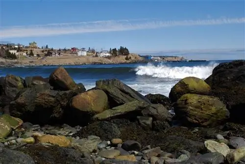 Волна накатывает на пляж, залив Уитлесс, Ньюфаундленд. Вид почти с уровня земли на пляж и воду. На заднем плане видна часть города Уитлесс-Бэй.