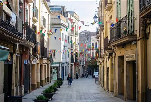 Глядя на узкую улицу, с магазинами по обеим сторонам в элегантных зданиях с балконами и разноцветными флагами, развешанными поперек улицы.