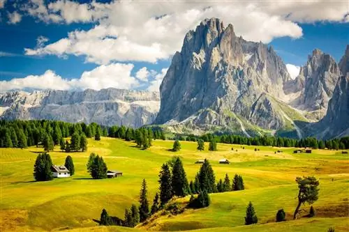 Впечатляющие вершины Доломитовых Альп, возвышающиеся над зелеными альпийскими пастбищами.