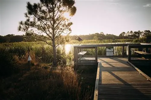 Закат над водно-болотными угодьями в заповеднике с цаплей, сидящей на деревянном променаде.