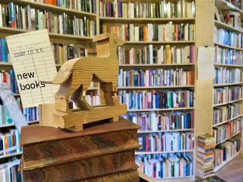 Полки с книгами и деревянная резьба в виде собаки внутри Paper Hound; Лучшие книжные магазины Ванкувера.