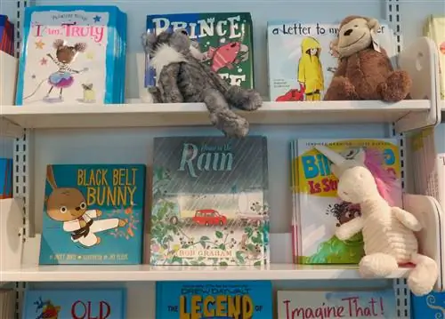 Детские книги в Kidsbooks в Ванкувере. Названия включают « Кролик с черным поясом», « Дом под дождем» и « Я действительно»; Лучшие книжные магазины Ванкувера.