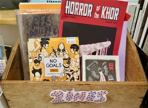 Коробка журналов в Lucky's Books & Comics в Ванкувере. Названия включают No Goals Vol II, Horror of the Khor и 1000 умных идей; Лучшие книжные магазины Ванкувера.