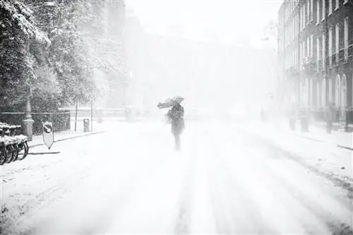 Зимний штормовой зонт-j.webp