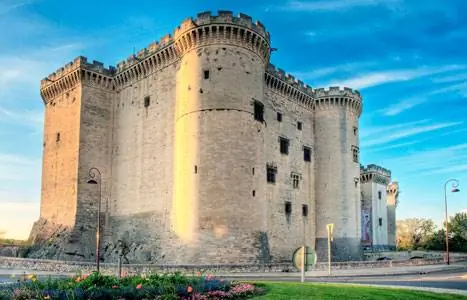 Особенности - тараскон