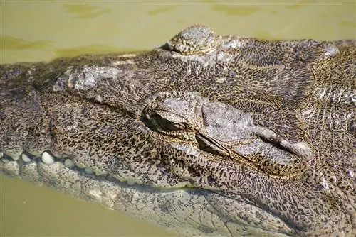 Особенности - SONY DSC