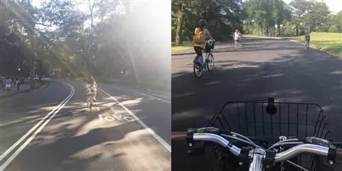 Два изображения езды на велосипеде по Центральному парку с точки зрения велосипедиста.