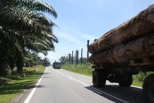 Малайзия на мотоцикле: через сердце Паханга