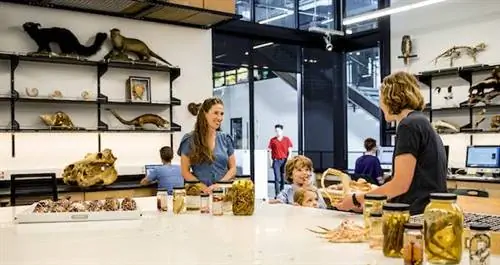 Новый музей Сиэтла раскрывает секреты археологов