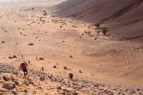 Когда дела идут плохо: экстремальные приключения по всему миру
